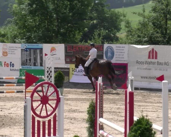 Reitturnier Ruswil 2025