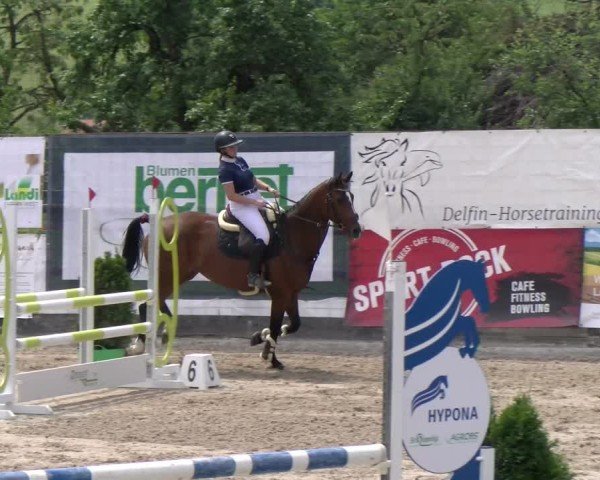 Reitturnier Ruswil 2025
