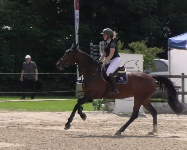 Reitturnier Ruswil 2025