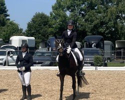 dressage horse Cambara 4 (German Riding Pony, 2016, from Kastanienhof Kentaur)