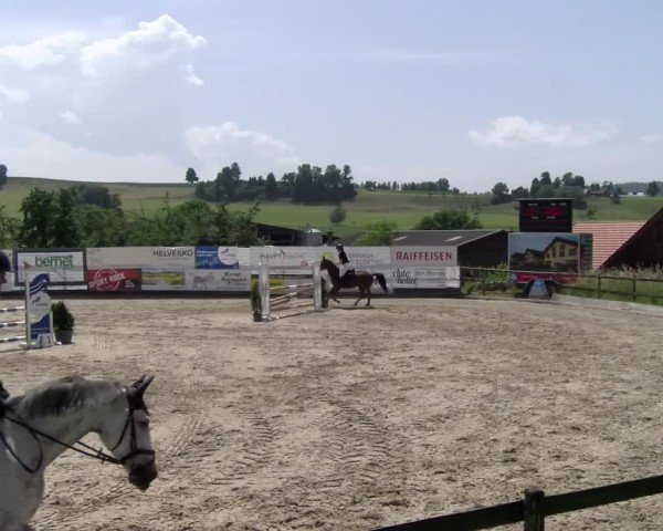 Reitturnier Ruswil 2025