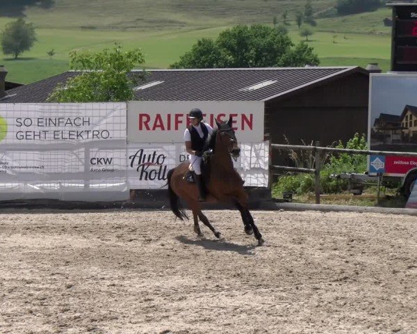 Reitturnier Ruswil 2025