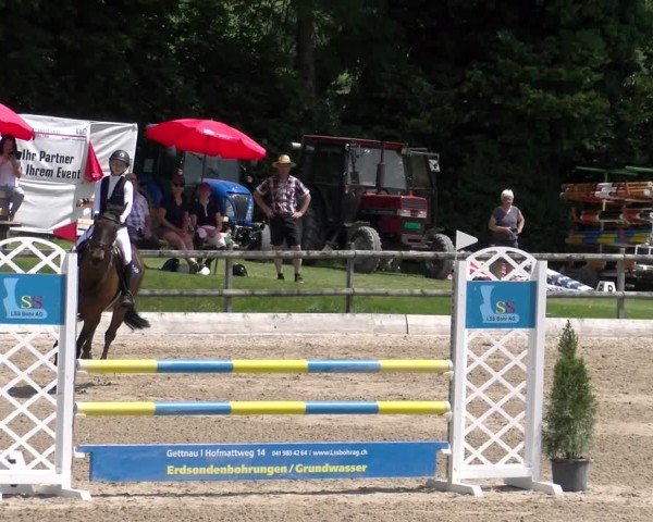 Reitturnier Ruswil 2025