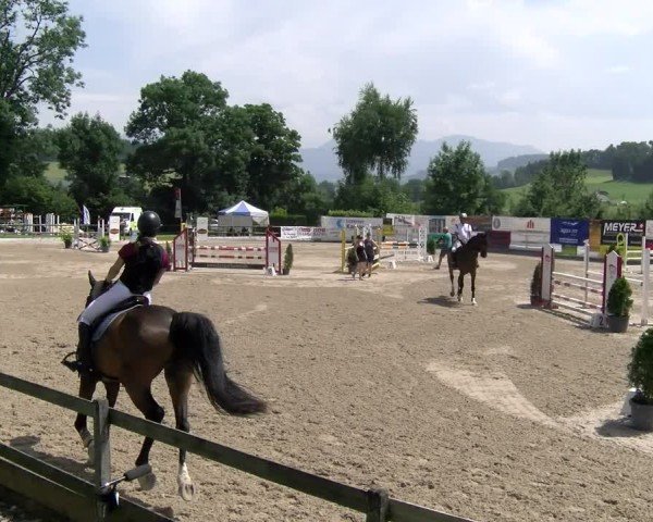 Reitturnier Ruswil 2025