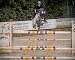 Springpferd Amani von Alfen (Westfale, 2017, von Asca Z)
