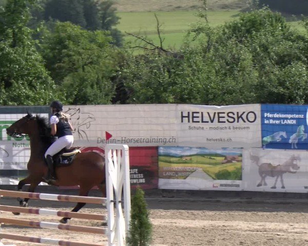 Reitturnier Ruswil 2025
