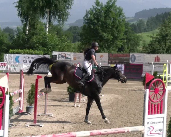Reitturnier Ruswil 2025