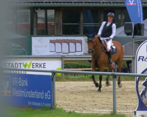 Reitturnier Coesfeld/Lette 2025