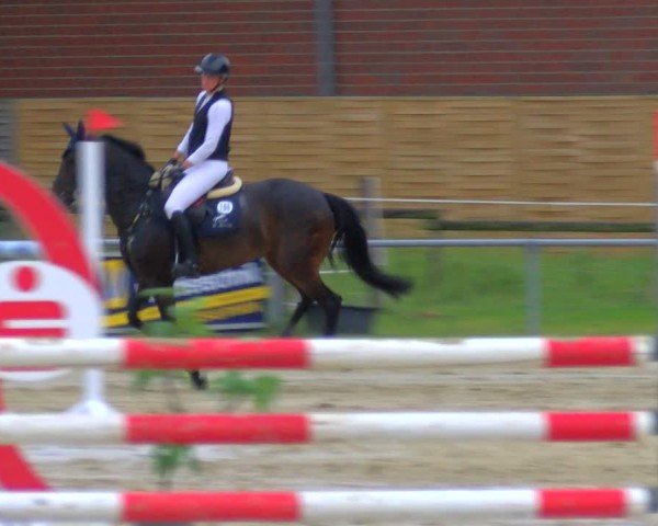 Reitturnier Coesfeld/Lette 2025