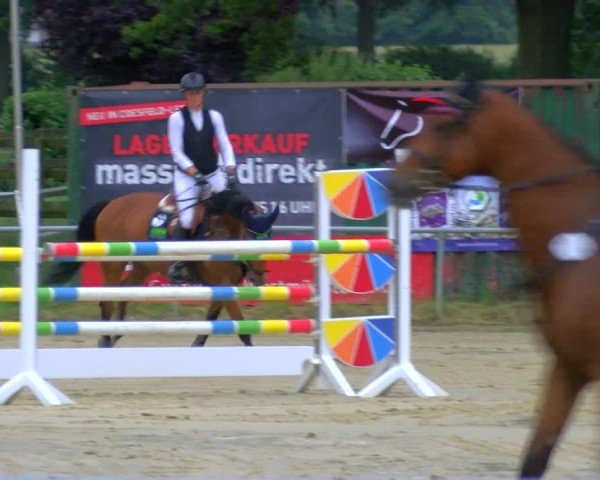 Reitturnier Coesfeld/Lette 2025