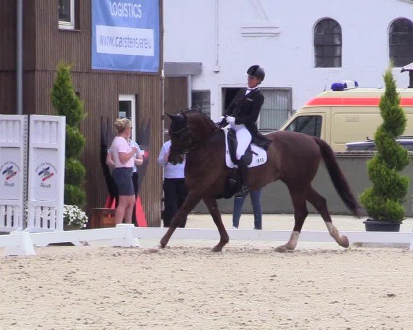 Reitturnier Sörup Dressurturnier 2025