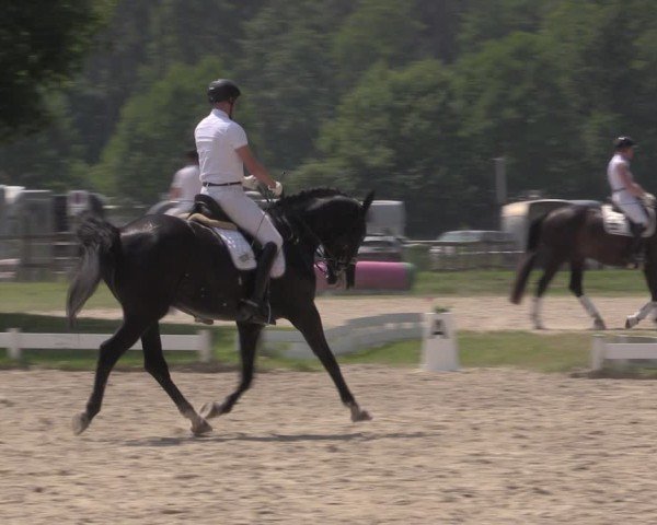Reitturnier Coesfeld/Lette 2025