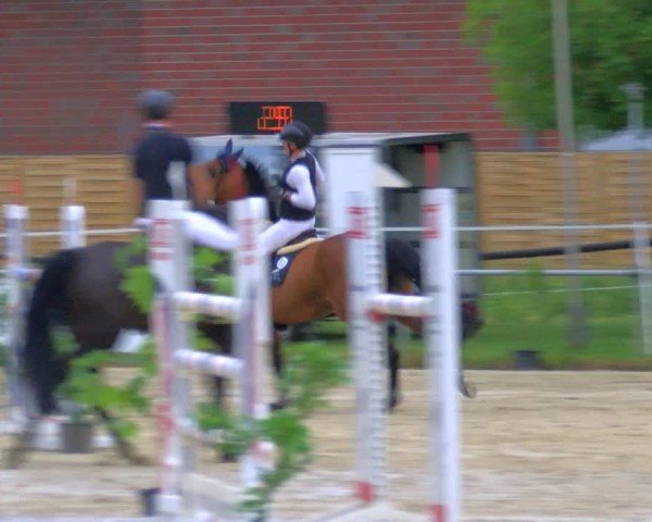 Reitturnier Coesfeld/Lette 2025