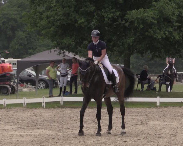 Reitturnier Coesfeld/Lette 2025