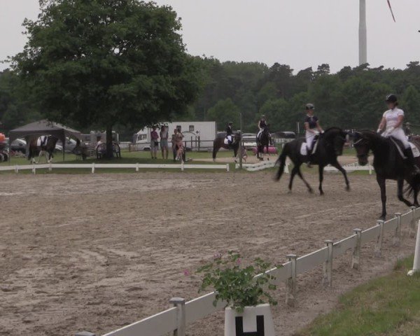 Reitturnier Coesfeld/Lette 2025
