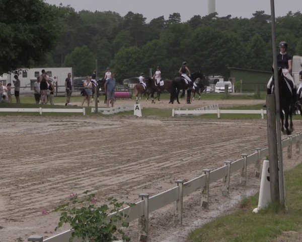 Reitturnier Coesfeld/Lette 2025