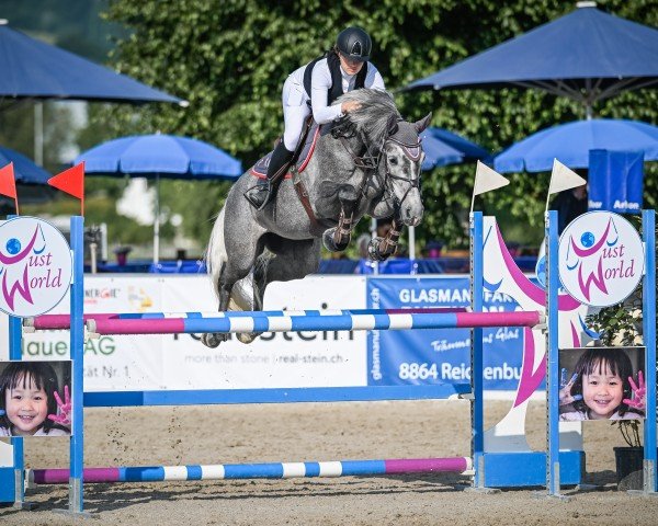 jumper Obolenskaja Vom Weihergut CH (Swiss Warmblood, 2019, from Cornet Obolensky)