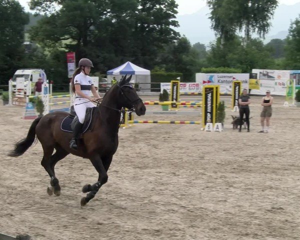 Reitturnier Ruswil 2025