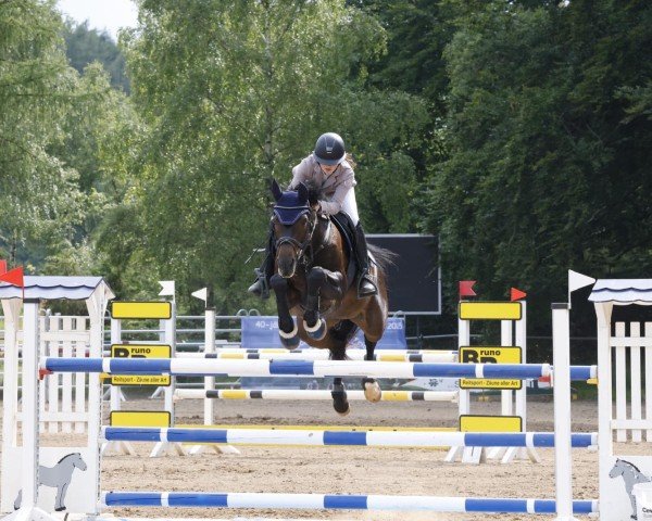 broodmare Nikita 496 (Westphalian, 2011, from Neurit)