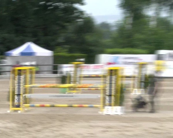 Reitturnier Ruswil 2025