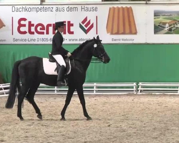 Walldorf 2014