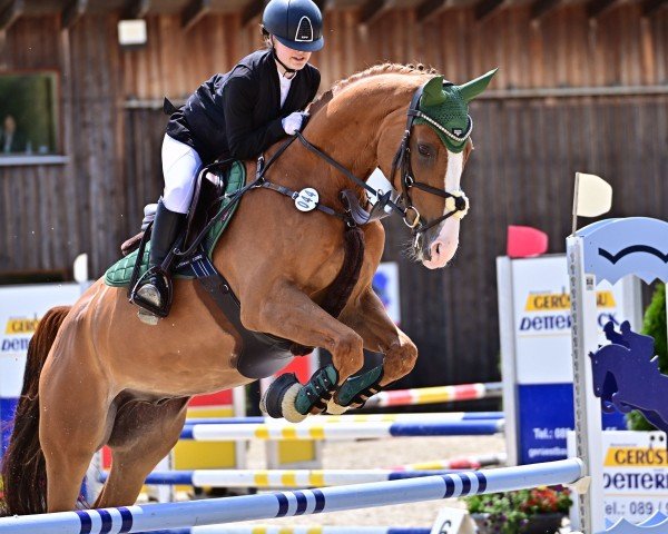 jumper Lunik Mission (Hanoverian, 2011, from Le Cou Cou)