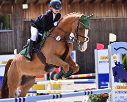 jumper Lunik Mission (Hanoverian, 2011, from Le Cou Cou)