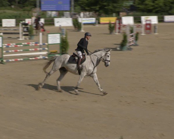 Reitturnier Schönfeld 2025