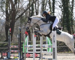 Springpferd Lidewey O'Hara (KWPN (Niederländisches Warmblut), 2016, von Dakar VDL)