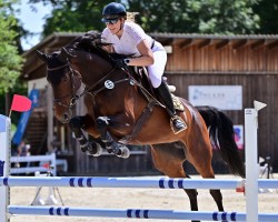 jumper Meteora S (Holsteiner, 2019, from Acodetto I)