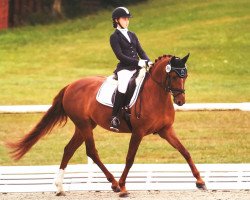 Zuchtstute Chelsey (Deutsches Reitpony, 2007, von Lajunen)