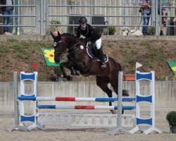 broodmare Ghyslena (KWPN (Royal Dutch Sporthorse), 2011, from Up To Date)