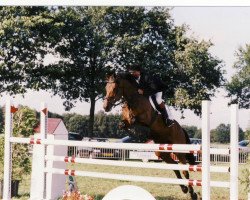 broodmare Jesprit (KWPN (Royal Dutch Sporthorse), 1991, from Burggraaf)