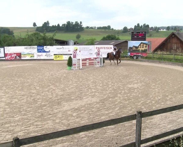 Reitturnier Ruswil 2025