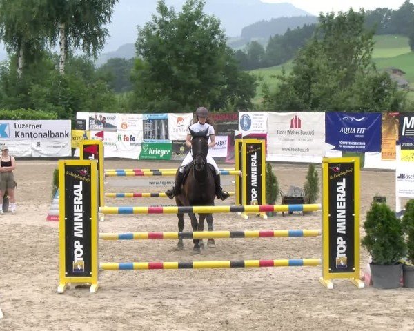 Reitturnier Ruswil 2025