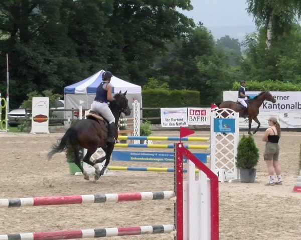 Reitturnier Ruswil 2025