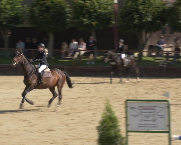 Reitturnier Schönfeld 2025