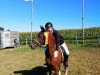 dressage horse Nirvano Fortuna (Nederlands Rijpaarden en Pony, 2002, from Nicolai)