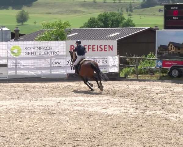 Reitturnier Ruswil 2025