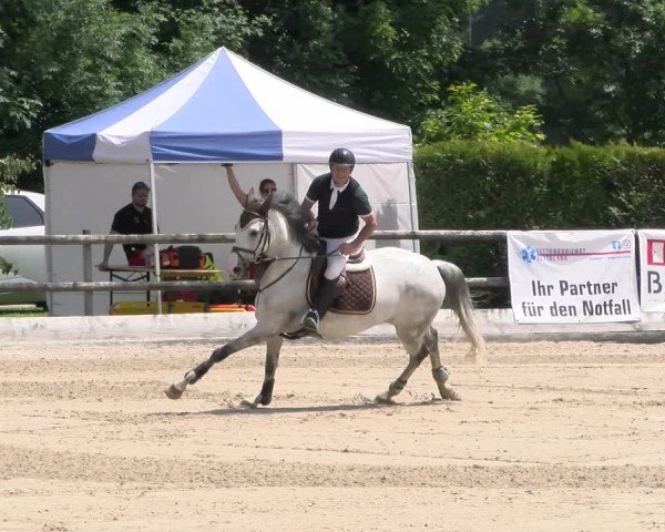 Reitturnier Ruswil 2025