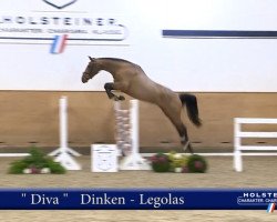 broodmare Diva 649 (Holsteiner, 2015, from Dinken)