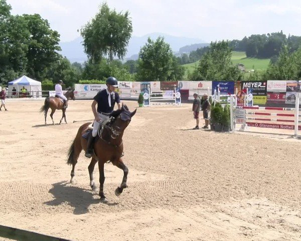 Reitturnier Ruswil 2025