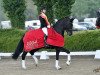 dressage horse Deco (Oldenburg, 2012, from De Niro)