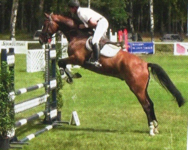 jumper For Garanted (Hanoverian, 2007, from For Edition)