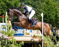 jumper Chiquita 88 (Polish Warmblood, 2012, from Vandamme)