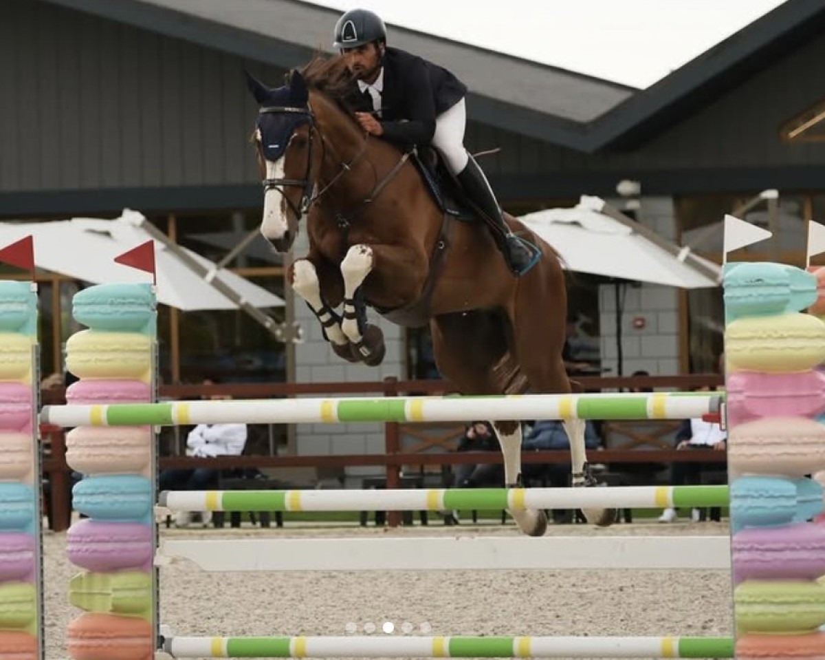 jumper Fazall H (KWPN (Royal Dutch Sporthorse), 2010, from Zavall VDL)