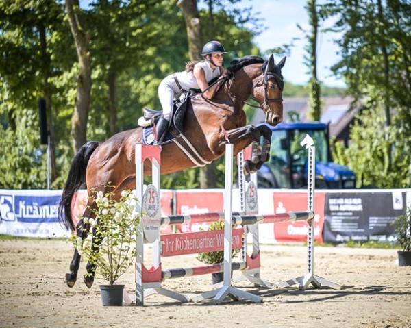 jumper Kiss the Sky (Hanoverian, 2018, from Karajan)