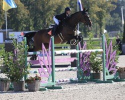 jumper Javenia (Belgian Warmblood, 2009, from Nonstop)