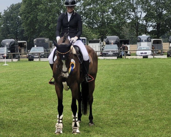 jumper Quite Easy 18 (Mecklenburg, 2017, from Qualify)