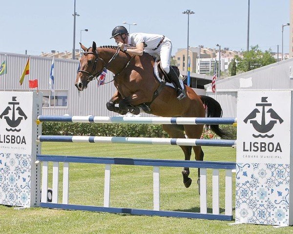 jumper Enji du Barquet (Selle Français, 2014, from Qlassic Bois Margot)
